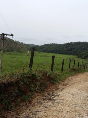 Imagem 2 de 12 de Fazenda 157 Alqueires Em Sete Barras-sp