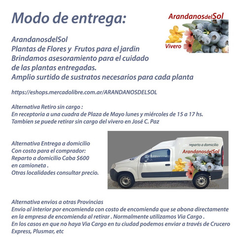 Frambuesa Sin Espinas