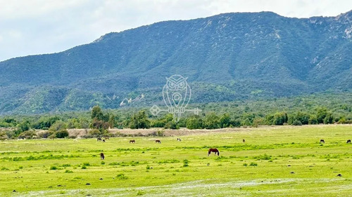Excelente Sitio En Santa Rita De Pirque