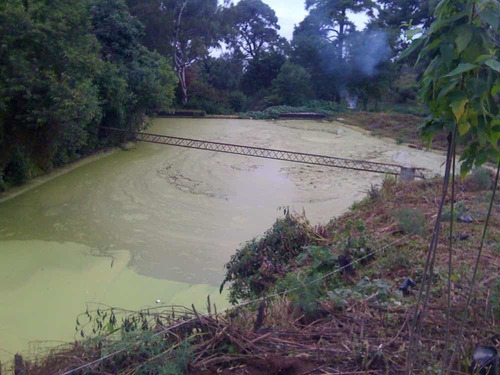 Imagen 9 de 14 de Rancho Al Lado Del Club Asturiano Morelos En Nepantla.