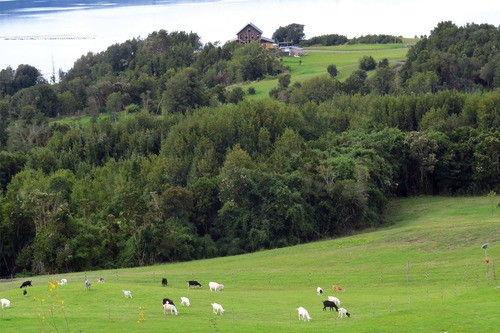 Terrenos Construcción En Venta - Rilán, Chiloé