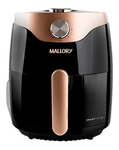 Air Fryer Smart Fryer Mallory