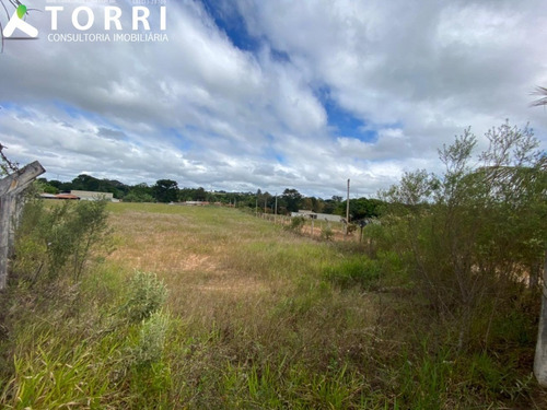 Imagem 12 de 13 de Terreno À Venda Na Vila São João Em Sarapuí - Te00775 - 69495610