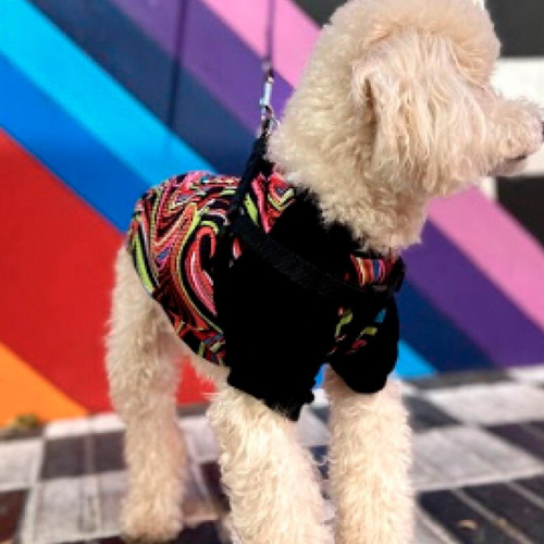 Remeras Y Musculosas Para Perros Y Gatos Super Cancheras