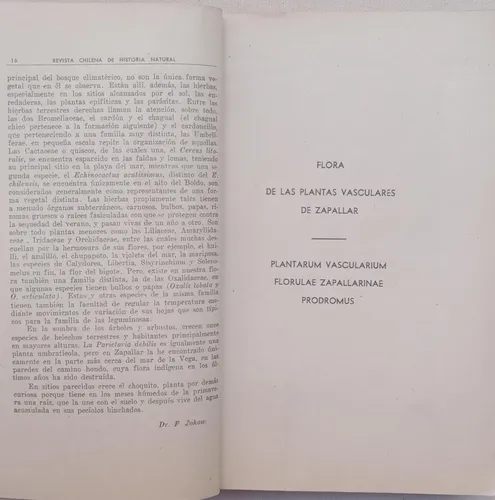 Flora De Las Plantas Vasculares De Zapallar Federico Johow (Usado)