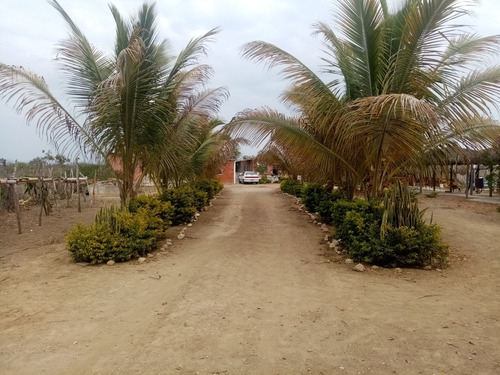 Imagen 4 de 12 de Lote De Terreno Para Rancho O Casa Cerca De La Playa