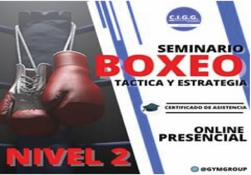 Seminario De Boxeo ¡táctica Y Estrategia!