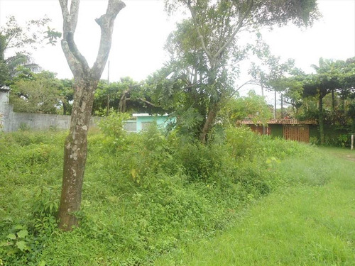 Imagem 1 de 2 de Terreno - Venda - Diplomata - Itanhaem - Ita2265