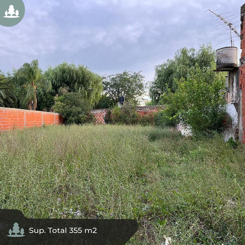 Venta - Lote
