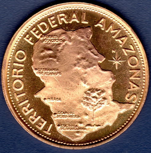 Medalla Estados De Venezuela Amazonas BolĂvar Bronce (Usado)