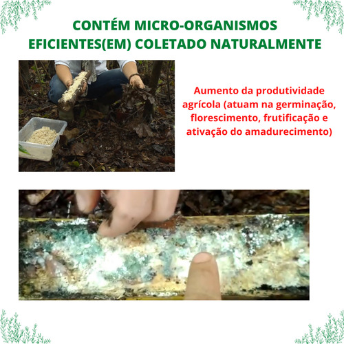Npk Adubo 10kg Com Macro E Micronutrientes Essenciais