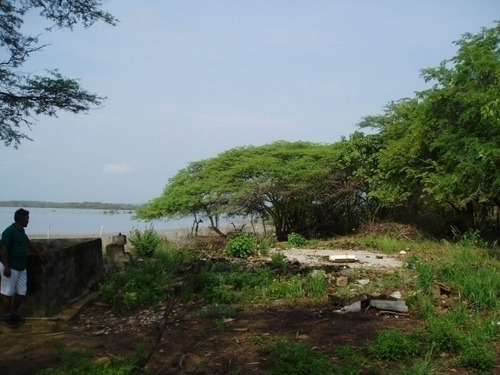 Imagen 19 de 30 de Maria Eugenia Blanco Vende Terreno En Morrocoy, Falcon 386942