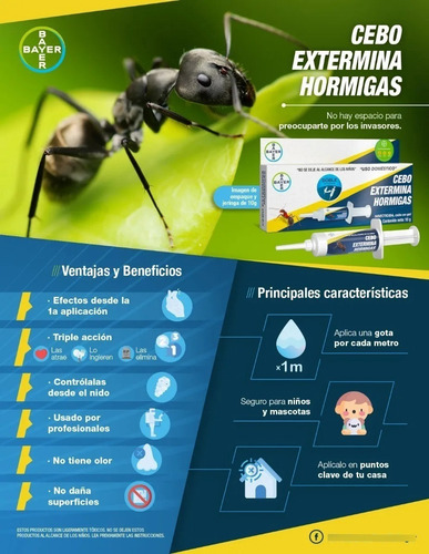 Imagen 4 de 8 de Paquete De 3 Piezas Mata Hormigas En Gel Jeringa 10 G Bayer