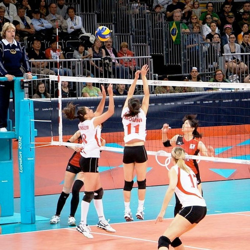 Imagen 3 de 8 de Pelota De Voley Nassau Cosida Nro5 Peso Y Medida Profesional