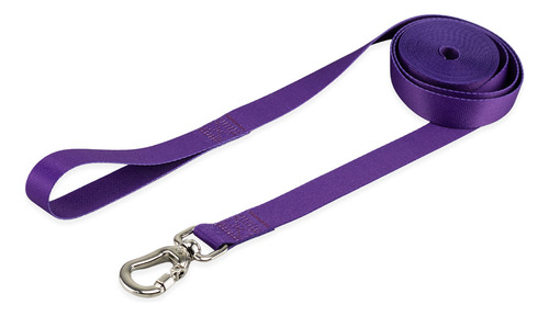 Coleira Guia 10 Metros Para Cães Cachorro Adestramento Passeio Tamanho M Porte Médio Basic Pet Roxo