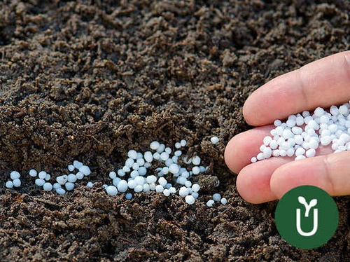 Imagen 4 de 7 de Fertilizante Urea - 2 Kg - Ideal Césped Plantas Verdes
