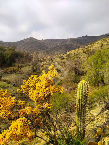 Sitio En Venta En Los Andes