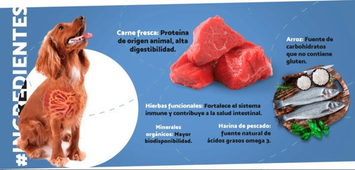 Alimento Para Perro Carne Fresca Puppy Care 4 Kg Cachorros