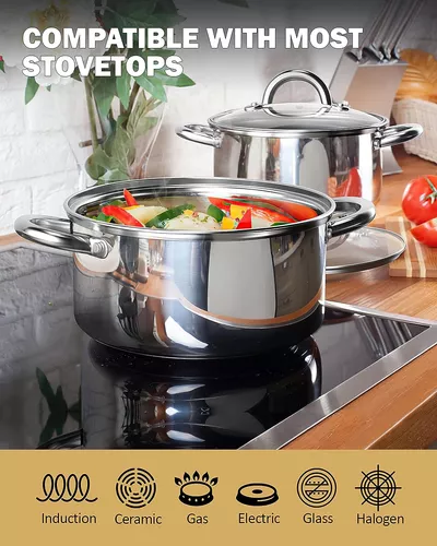 Cook N Home Juego de ollas y sartenes de inducción de cocina de acero  inoxidable de 10 piezas, color plateado