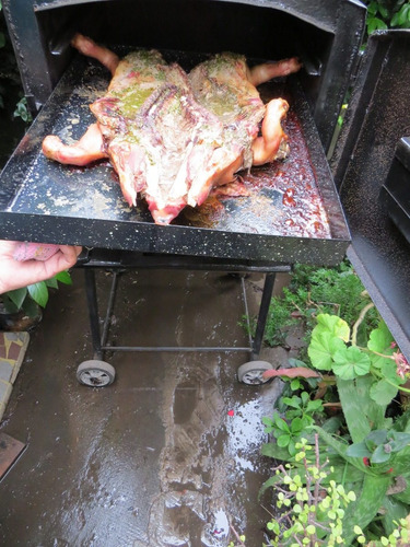 Imagen 4 de 7 de Horno A Leña Calor Envolvente Bandeja Enlozada 75 Cm X 60cm