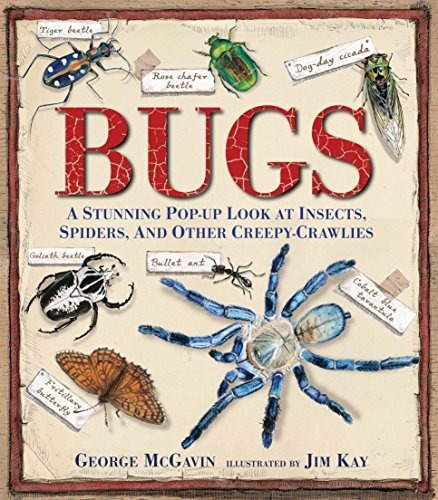 Bugs: A Stunning Pop-up Look At Insects, Spiders, ..., de George McGavin. Editorial Candlewick en inglés