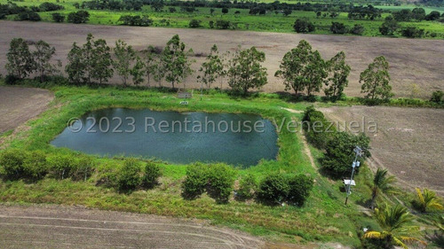 Carlos Colmenarez Felx 23-33543 Vende Finca Con 10 Hectareas Y 4.642 Mts Pozo Profundo De 80 Metros, Bomba De 14 Hp Luz Trifasica Laguna De 50 Por 40 Metros Cochinera De 30 Corrales