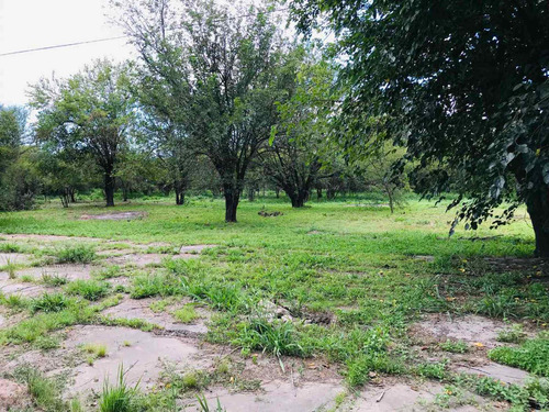 Imagen 14 de 18 de Hectarea + Galpon + Casa Venta A Metros De Ruta 26