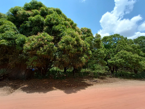 Terreno, Teresina Pi ( Loteamento Árvores Verdes)