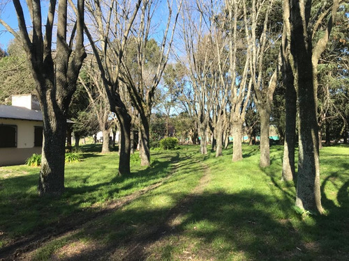 Imagen 11 de 13 de Casa Quinta En Venta - Barrio Santa Anita, Petion - Ruta 3