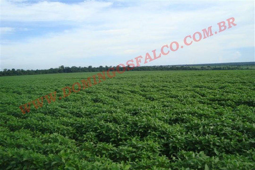 Imagem 9 de 23 de Venda - Fazenda - Zona Rural - Porto Dos Gaúchos - Mt - D0098