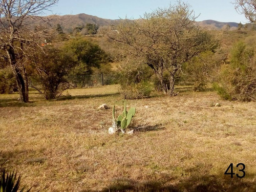 Imagen 28 de 30 de Vendo Lotes En Valle Hermoso