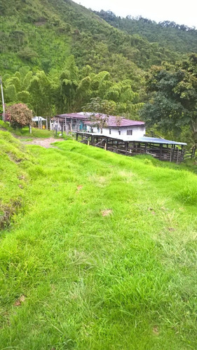 Venta Finca Vereda El Cedral Genova Quindío