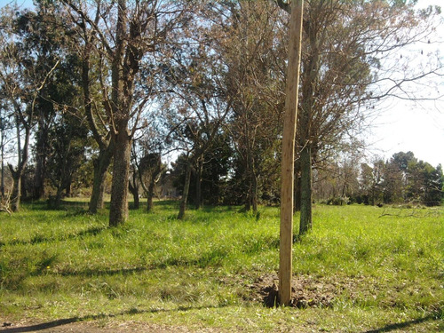 Imagen 5 de 11 de Venta De Lote - Guernica