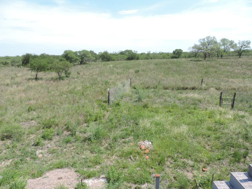 Oportunidad !!! Campo Productivo, Cría Y Siembra - 65 Has En San Pedro, Cba.