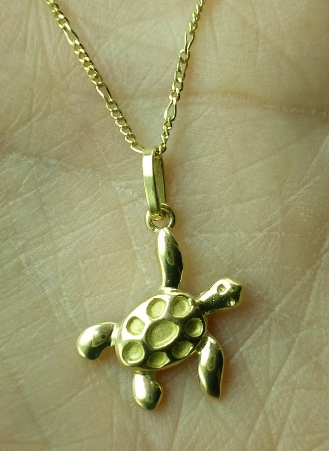 Cadena Y Dije De Tortuga De Oro 18 Kt