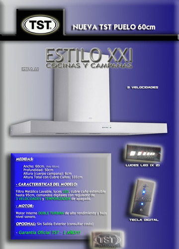 Imagen 4 de 10 de Campana De Cocina Tst Puelo 60cm Pared - Ahora 18