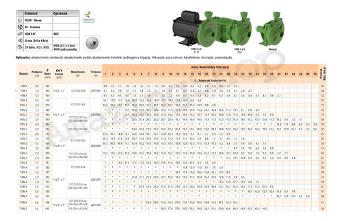 Motobomba Centrífuga Fgn-2 2cv Motor Weg I P 55 Trif Famac