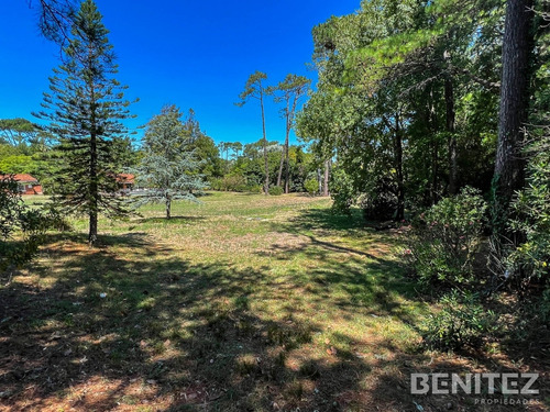 Terreno En Excelente Entorno De San Rafael. 1000 M2