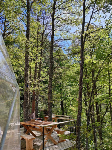 Terreno, Oportunidad De Inversión: Malalcahuello Ecoglamp