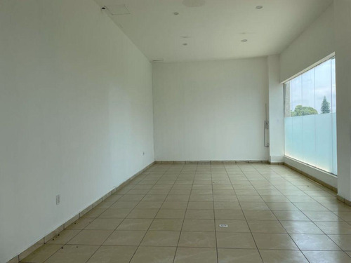 Local Comercial En Jardín Tetela, Cuernavaca, Morelos - Iti-688-lc