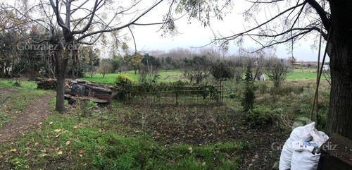 Imagen 1 de 4 de Terreno - Carmelo