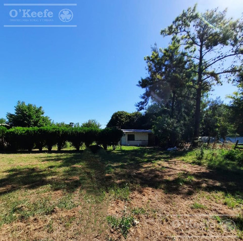Chacra En Venta De 3,5 Has En Arturo Segui !!!