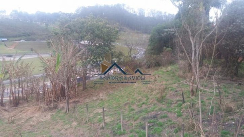 Imagem 1 de 13 de Oportunidade!!! Excelente Localização, Na Beira Da Raposo - 81