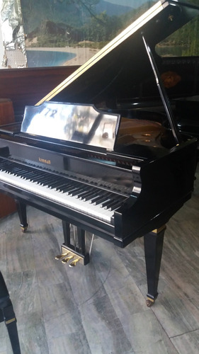 Imagen 8 de 10 de Transporte De Pianos