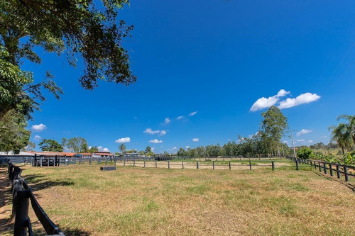 Imagem 21 de 30 de Fazenda À Venda No Bairro Sarapuí - Sarapuí/sp - O-8420-17443