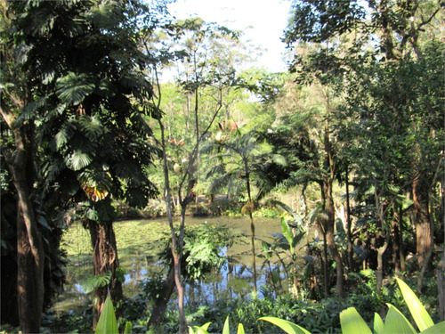 Imagem 11 de 21 de Terreno Dentro Da Chácara Flora - Reo507663