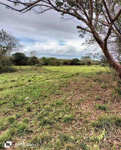 Venta Terreno En Ampliación Mata De Pita, Veracruz.