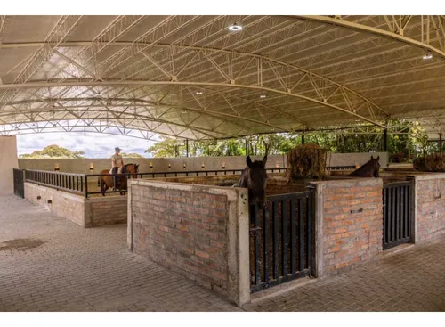 Finca Cria De Caballos X Venta En El Canadá El Carmen De Viboral