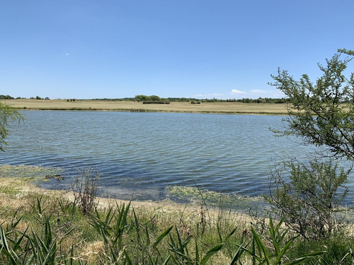 Imagen 2 de 4 de Terreno Lote En Venta Ubicado En Carmelo, Colonia