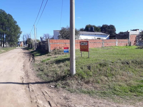 Imagen 2 de 3 de Virgen De Itati Al 2000